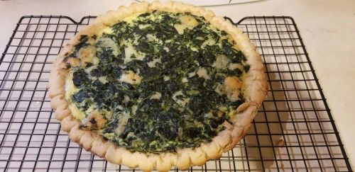 Quiche Florentine