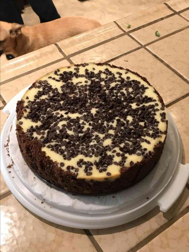 Simple Chocolate Chip Cheesecake