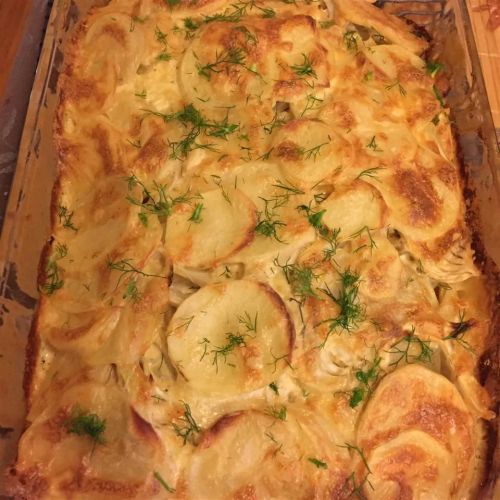 Cheddar Fennel Potato Gratin