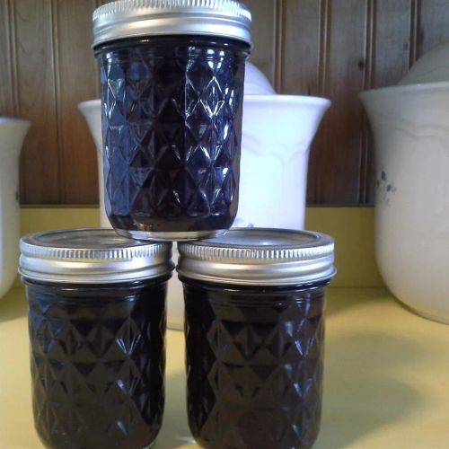 Blueberry and Raisin Jam