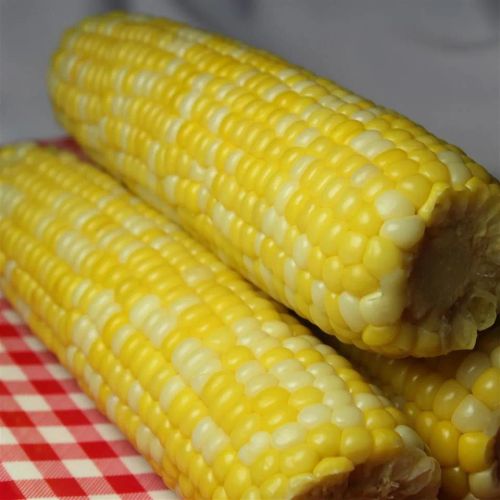 Delicious and Easy Corn on the Cob