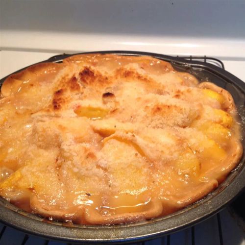 Single Crust Peach Pie