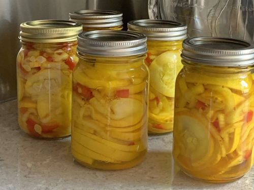 Pickled Squash