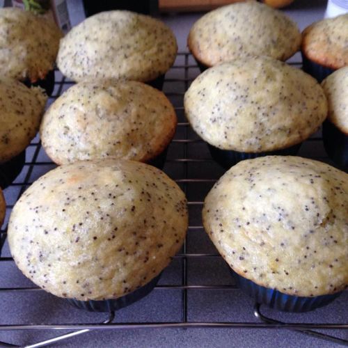 Lemony Poppy Seed Muffins