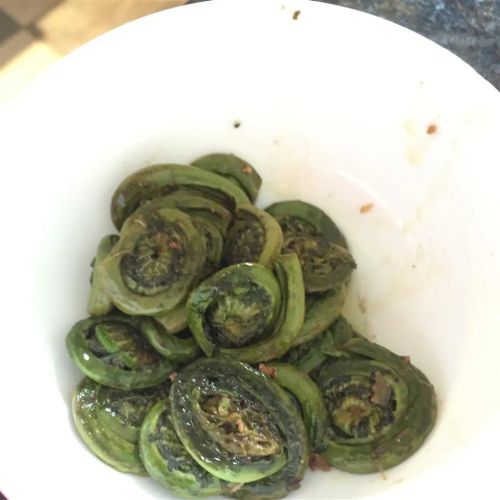 Sautéed Fiddleheads