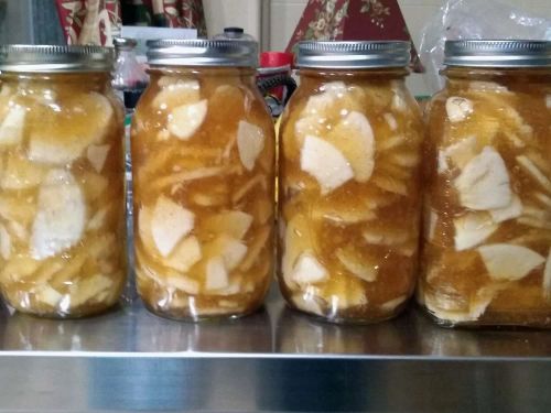 Classic Apple Pie Filling