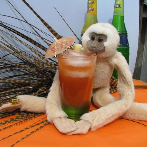 Drunk Monkey