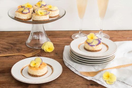 Mini Lemon Mascarpone Cheesecakes