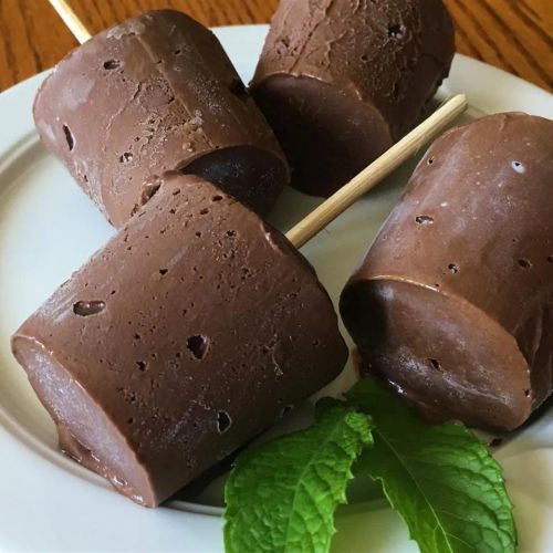 Chocolate Pudding Popsicles