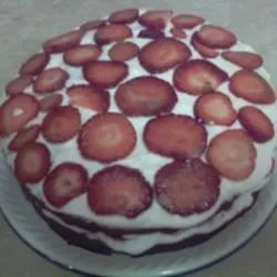 Simple Chocolate Strawberry Shortcake