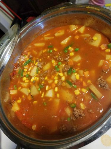 Hamburger Stew with Potatoes