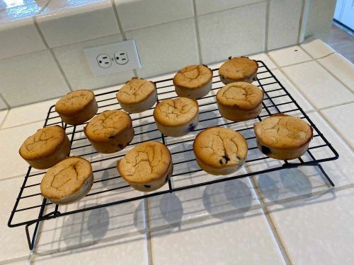 Lemon-Blueberry Protein Muffins