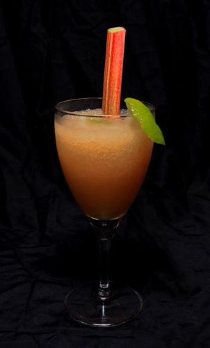 Refreshing Summer Rhubarb Slushy