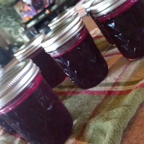 Prickly Pear Jelly