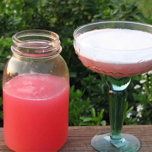 Rhubarb Margarita