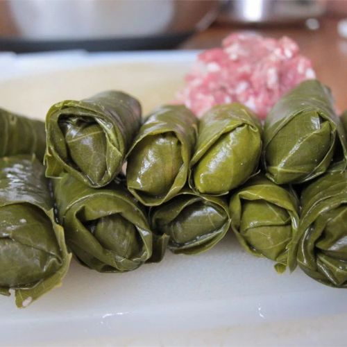 Grape Leaves Aleppo