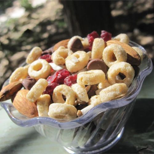 Camp Trail Mix