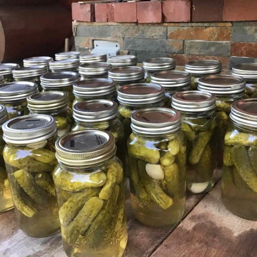 Pop's Dill Pickles