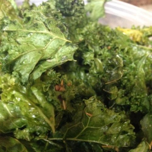 Paleo Kale Chips