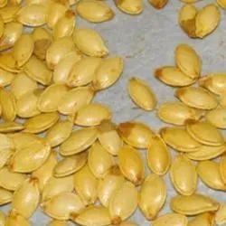 Best Roasted Pumpkin Seeds