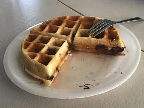 Chocolate Chip Belgian Waffles