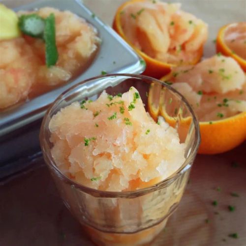 Citrus-Ginger Granita