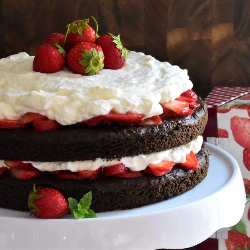 Chocolate Strawberry Shortcake