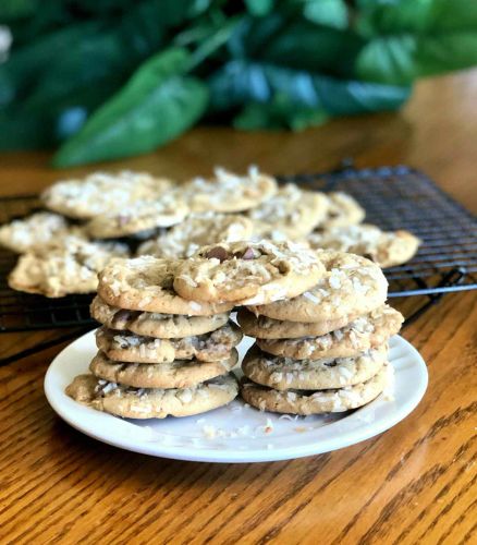 Chocolate Marshmallow Melt Cookies