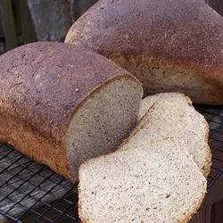 Westrup Whole Wheat Bread