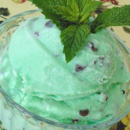 Easy Mint Chocolate Chip Ice Cream