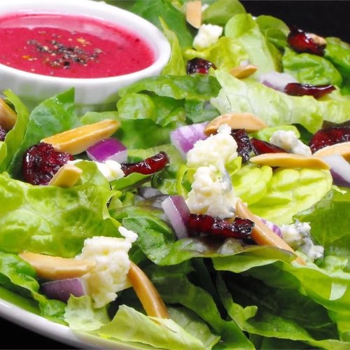 Green Salad with Cranberry Vinaigrette