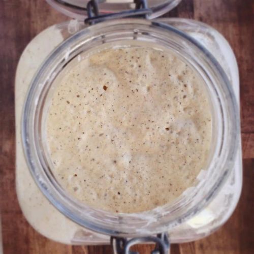 Gluten-Free Sourdough Starter