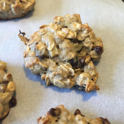 Low Fat Breakfast Cookies