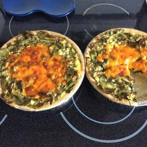 Italian Spinach Cheese Pie