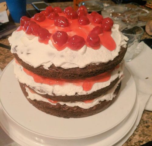 "Pretty Much a Piece of Heaven" Black Forest Cake