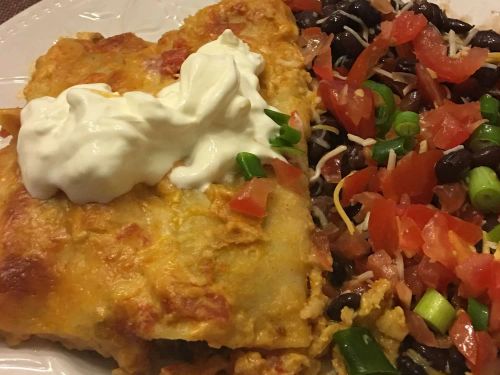 Shredded Beef Enchiladas