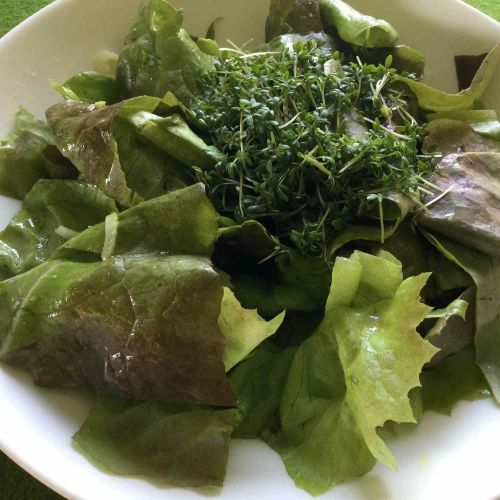 Green Salad with Garden Cress