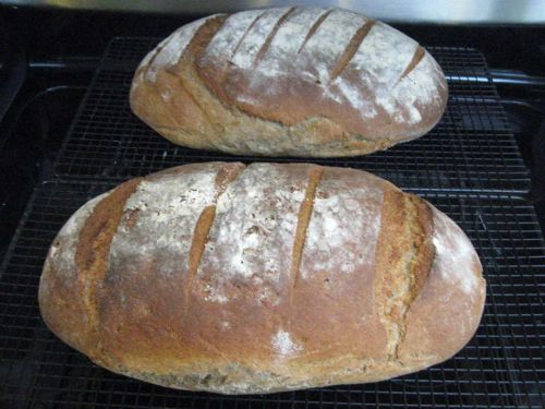 Authentic German Bread (Bauernbrot)