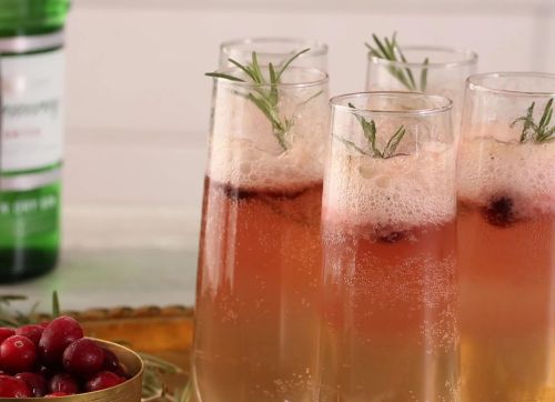 Cranberry-Rosemary Prosecco Float