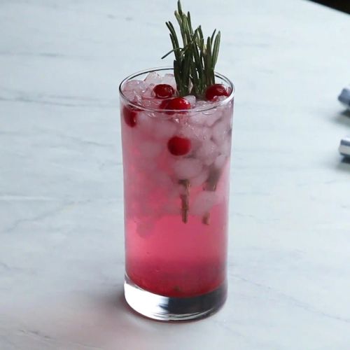 Cranberry Rosemary Herb Soda