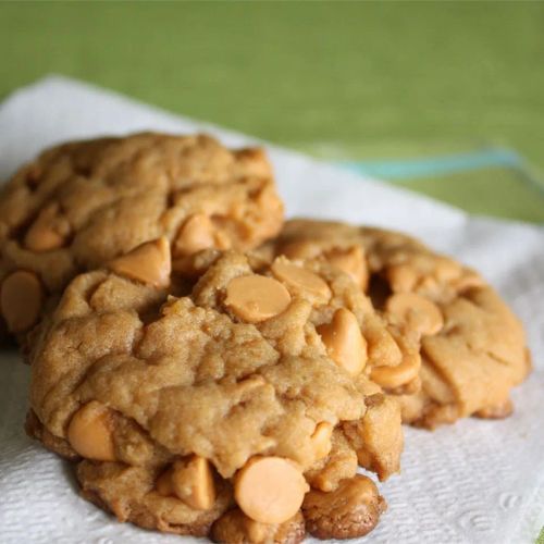 Chocolate Chip Pudding Cookies