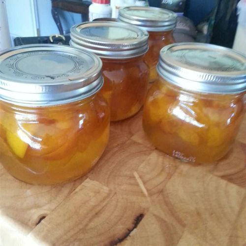 Homemade Apricot Jam