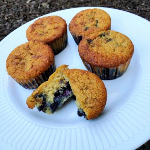 Almond Flour Blueberry Nut Muffins