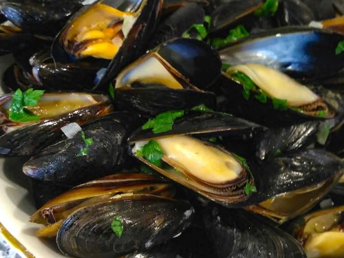 Mussels Mariniere