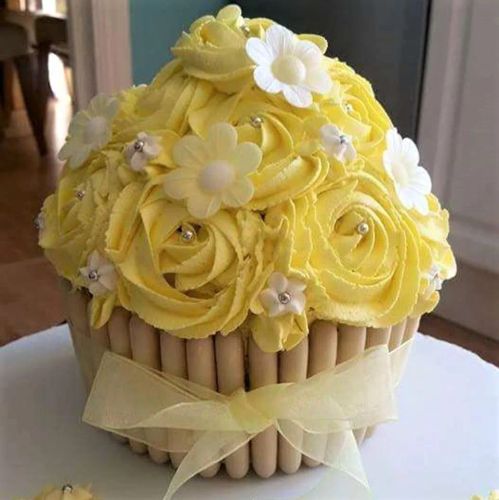 Giant Cupcake