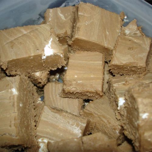 Peanut Choc-Scotch Fudge