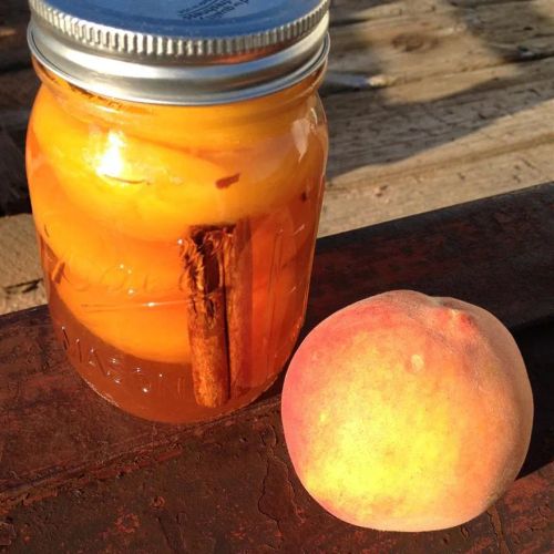 Nana's Southern Pickled Peaches