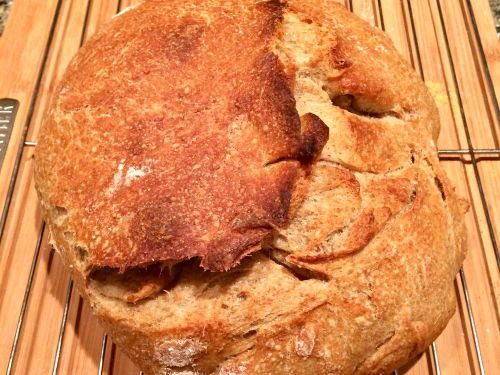 Better-Than-Bakery No-Knead Sourdough