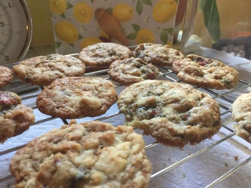 Fresh Fig Cookies