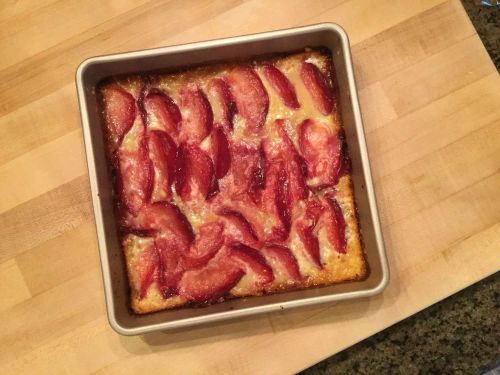 Plum Custard Kuchen